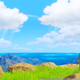 Image for article titled Dragon Quest XI On Switch Lets You Make NPCs Lie